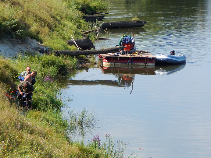 Продается разрешительная документация, позволяющая добывать морёный дуб в Рязанской области.